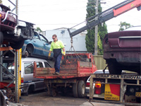 Auto Salvage